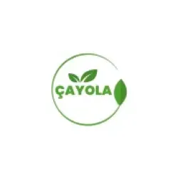 ÇAYOLA